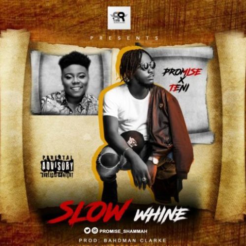 Promise ft. Teni - Slow Whine Mp3 Audio
