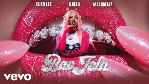 Buzzi Lee – Bao Jela Visualizer
